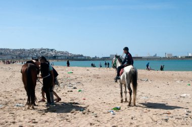 atları Tanca'da Beach