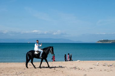 atları Tanca'da Beach