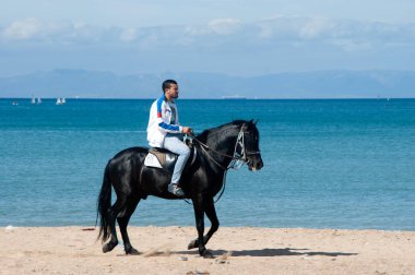 atları Tanca'da Beach