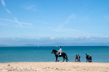 atları Tanca'da Beach