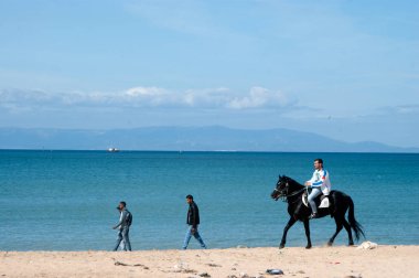 atları Tanca'da Beach