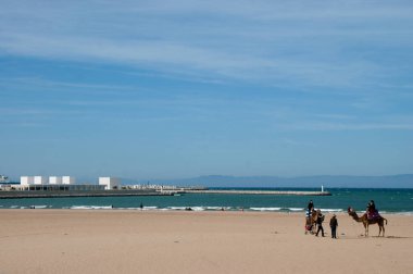 manzara plaj Kuzey Afrika'da