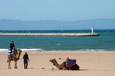 Camel Beach