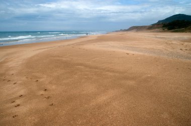 Kuzey Afrika'nın plaj manzara