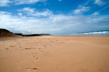 Kuzey Afrika'nın plaj manzara