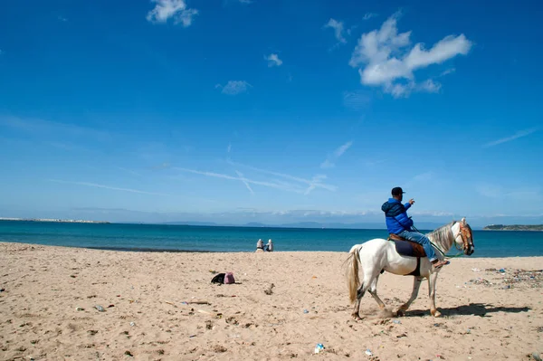 atları Tanca'da Beach