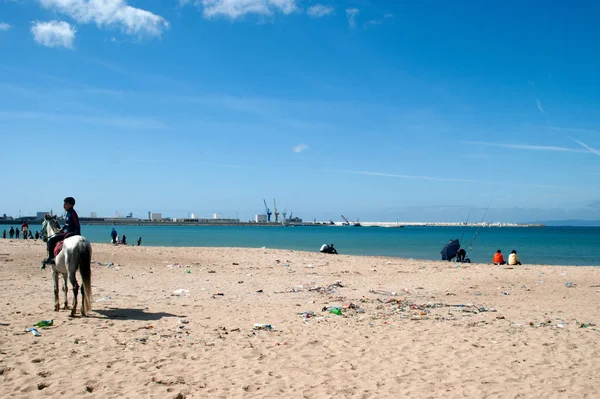 atları Tanca'da Beach