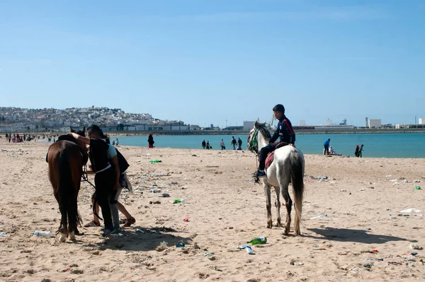atları Tanca'da Beach
