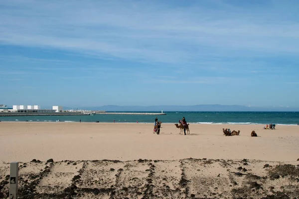 manzara plaj Kuzey Afrika'da