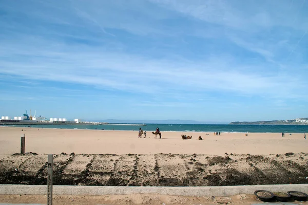 manzara plaj Kuzey Afrika'da