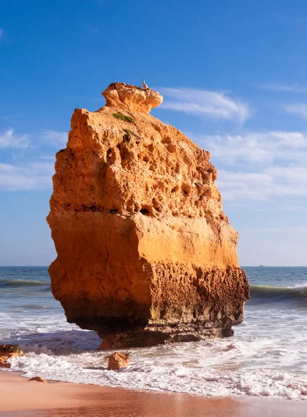 Carvoeiro yakınlarındaki güzel kayalık plaj praia da marinha, Algarve, Portekiz kıyıları..