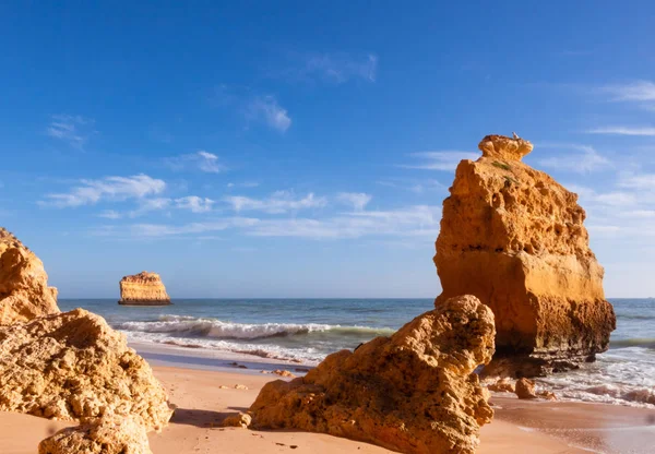 Carvoeiro yakınlarındaki güzel kayalık plaj praia da marinha, Algarve, Portekiz kıyıları..
