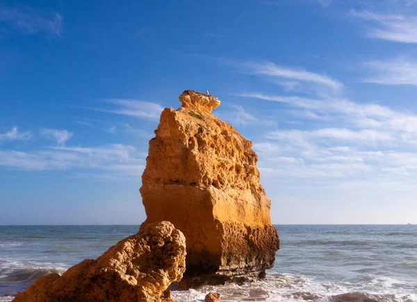 Carvoeiro yakınlarındaki güzel kayalık plaj praia da marinha, Algarve, Portekiz kıyıları..