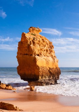 Carvoeiro yakınlarındaki güzel kayalık plaj praia da marinha, Algarve, Portekiz kıyıları..
