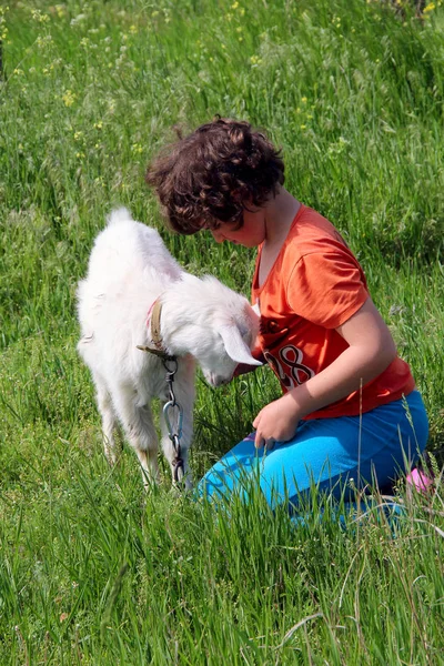 Uma rapariga com um miúdo num prado. foto — Fotografia de Stock