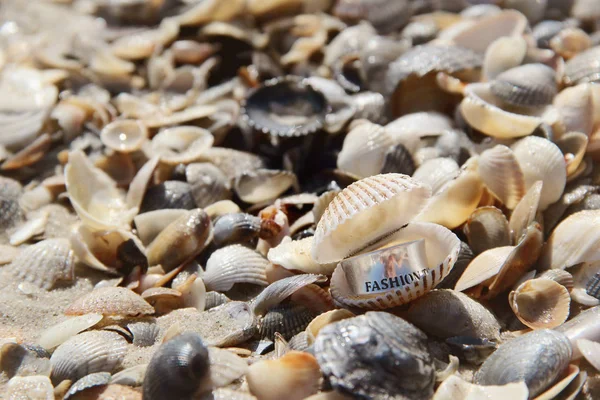 Zilveren ring op het strand. een foto — Stockfoto