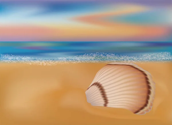 Fond d'écran coquille de mer été, illustration vectorielle — Image vectorielle