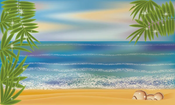 Verão mar tropical shell fundo, ilustração vetorial — Vetor de Stock