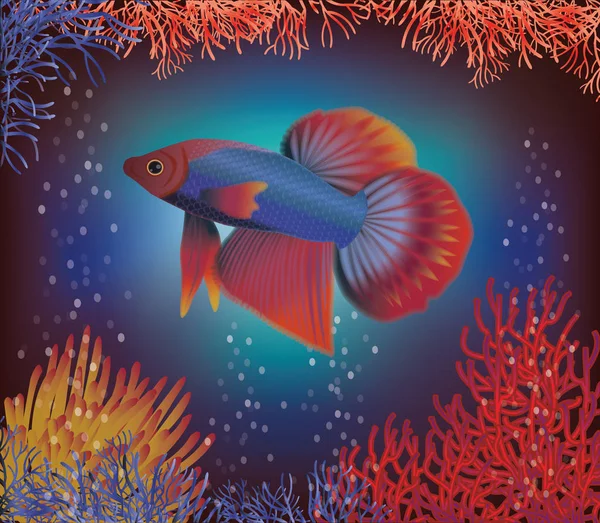 Fondo de pantalla submarino con peces tropicales, ilustración vectorial — Archivo Imágenes Vectoriales