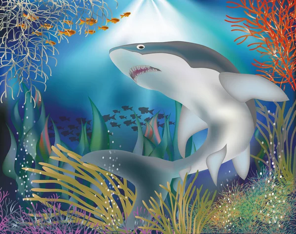 Underwater wallpaper with shark, vector illustration — Stock Vector