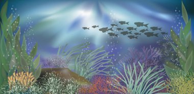 Sualtı tropikal duvar kağıdı, vektör çizim