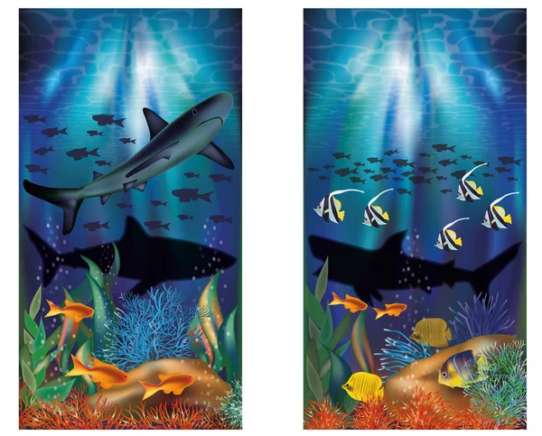 Banderas tropicales submarinas con tiburón, ilustración vectorial — Archivo Imágenes Vectoriales