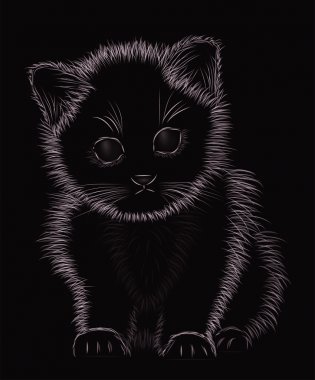 Küçük yavru kedi siyah ve beyaz, vektör çizim