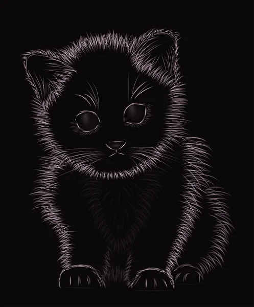 Pequeño gatito blanco y negro, ilustración vectorial — Archivo Imágenes Vectoriales