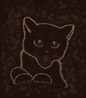 Küçük yavru kedi siyah ve beyaz, vektör çizim