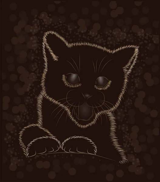 Pequeno gatinho preto e branco, ilustração vetorial —  Vetores de Stock