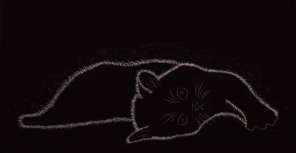 Pequeño gato blanco y negro, ilustración vectorial — Vector de stock