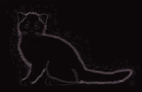 Pequeño gato esponjoso en blanco y negro, ilustración vectorial — Archivo Imágenes Vectoriales