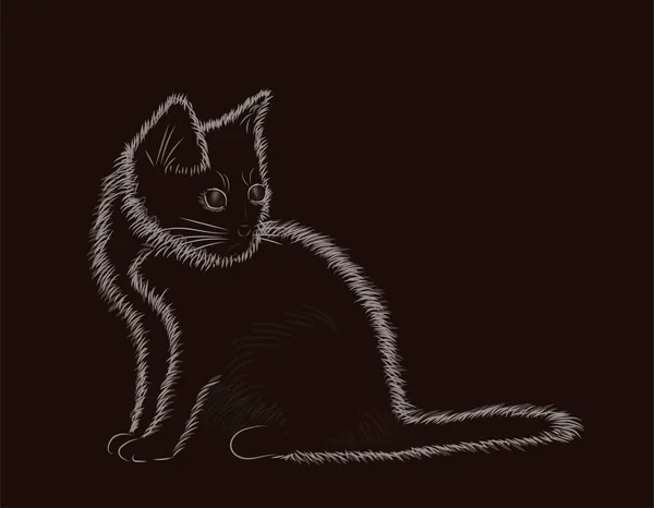 Pequeño gato esponjoso en blanco y negro, ilustración vectorial — Archivo Imágenes Vectoriales