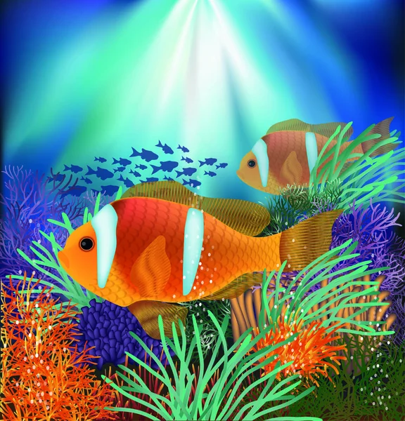 Underwater Kort Med Clownfish Vektor Illustration — Stock vektor