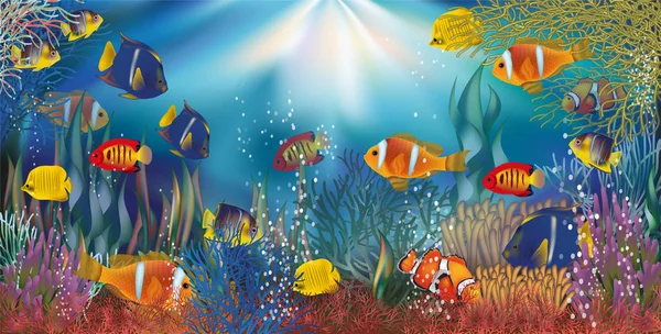 Underwater Tropical Wallpaper Vector Illustration — Stock Vector