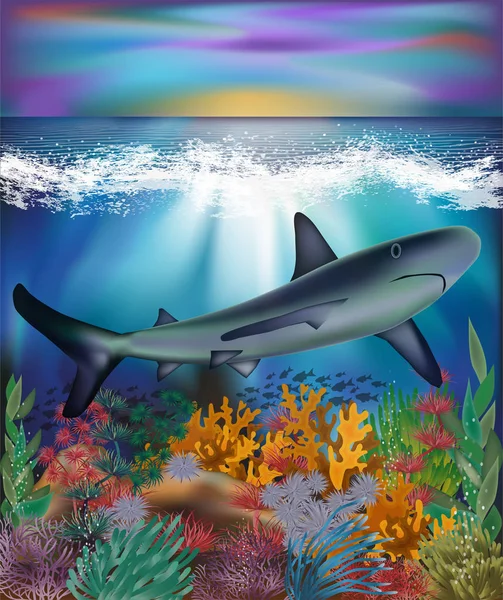 Podvodní Pozadí Žralokem Vektorové Ilustrace — Stockový vektor