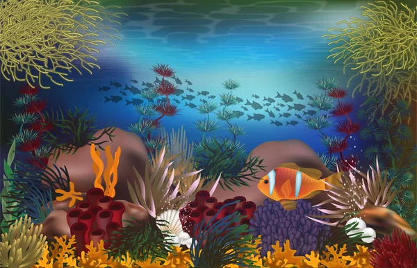 Fond Sous Marin Tropical Avec Perles Poissons Tropicaux Illustration Vectorielle — Image vectorielle