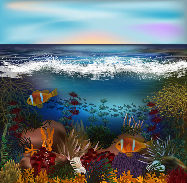 Tropical underwater wallpaper  with pearls , vector illustration