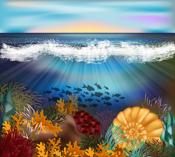 Fond Tropical Sous Marin Avec Coquille Perle Illustration Vectorielle — Image vectorielle