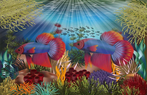 Carte Tropicale Sous Marine Avec Poissons Betta Rouges Bleus Illustration — Image vectorielle