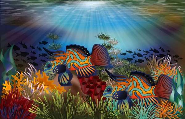Unterwasser Tropische Karte Mit Mandarinen Drachenfisch Vektorillustration — Stockvektor