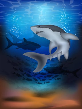 Köpekbalıklı sualtı kartı. vektör illüstrasyonu