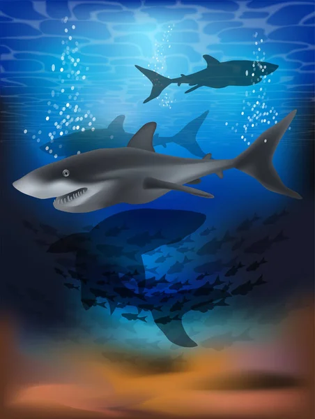 Underwater Wallpaper Shark Vector Illustration — Stock Vector