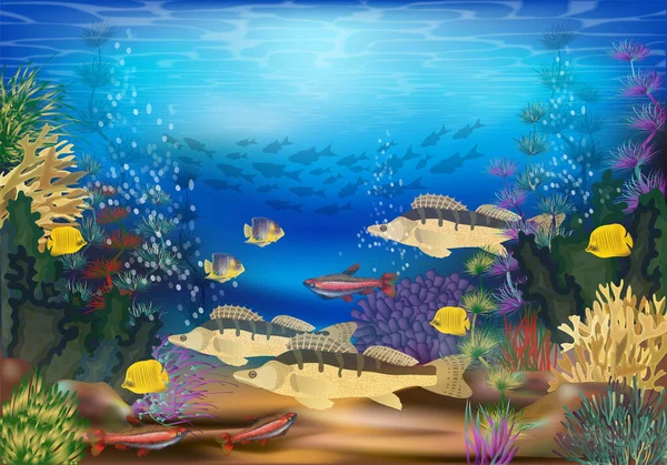 Unterwasserlandschaft Mit Tropischen Fischen Tapete Vektorillustration — Stockvektor