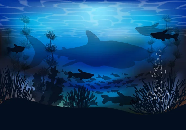 Paisaje Submarino Con Tiburones Peces Tropicales Ilustración Vectorial — Archivo Imágenes Vectoriales