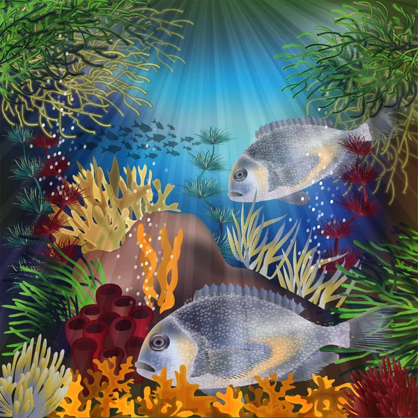 Papel Parede Subaquático Com Peixes Dourados Ilustração Vetorial — Vetor de Stock