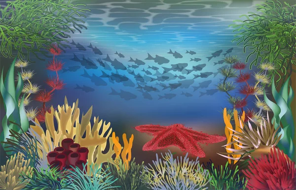 Unterwasser Schöne Landschaft Tapete Mit Seesternen Vektorillustration — Stockvektor