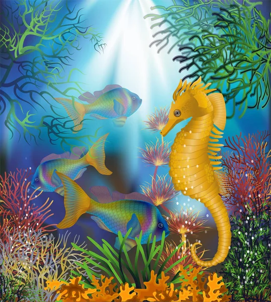 Underwater Card Seahorse Vector Illustration — Stock Vector