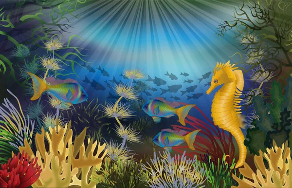 Onderwater Behang Met Seahorse Vectorillustratie — Stockvector