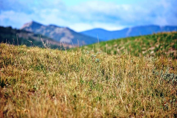 Los prados en Koktebel, la Crimea — Foto de Stock